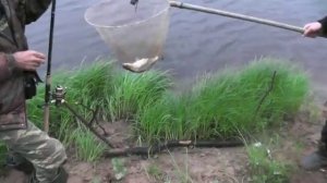 Рыбалка на реке Ветлуга