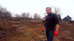 НОВОЕ ПОПОЛНЕНИЕ НА ХОЗЯЙСТВЕ. ЗАВАЛИЛ ВЕСЬ ОГОРОД НАВОЗОМ. ЖИЗНЬ В ДЕРЕВНЕ. ЖИЗНЬ В РОССИИ