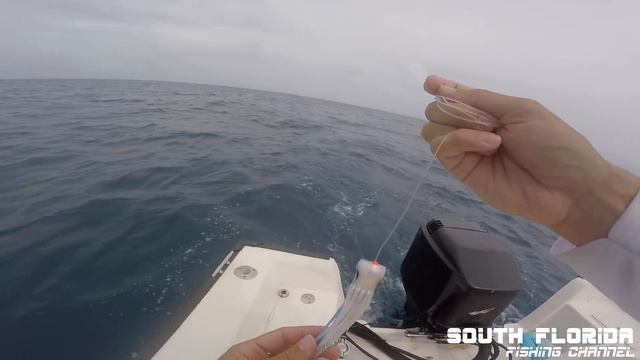 Mahi and Mutton | Using Scented Trolling Lures - Catch N Cook смотреть онлайн