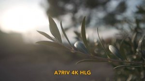 Esta es la CÁMARA full frame CON MÁS RESOLUCIÓN ? SONY A7R IV