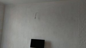 Рассказываю как посчитать сколько купить обоев