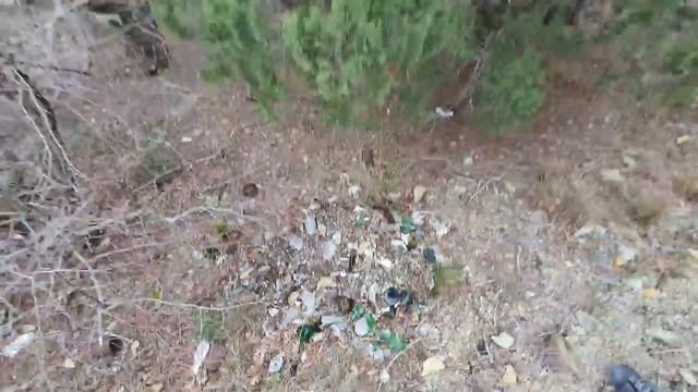 ЗАБРОШКИ ИЛИ НЕВЕРОЯТНЫЙ - БОЛЬШОЙ УТРИШ - ОБЗОР 21.02.2021
