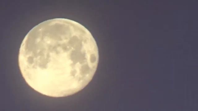 Полная луна на рассвете смотреть онлайн