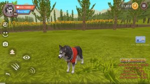 ПРОКАЧИВАЕМ 100 УРОВЕНЬ в игре WildCraft СИМУЛЯТОР ВОЛКА