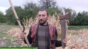 Как легко срубить стебли кукурузы