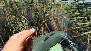 малютка 2 + болотоход 7 л.с.