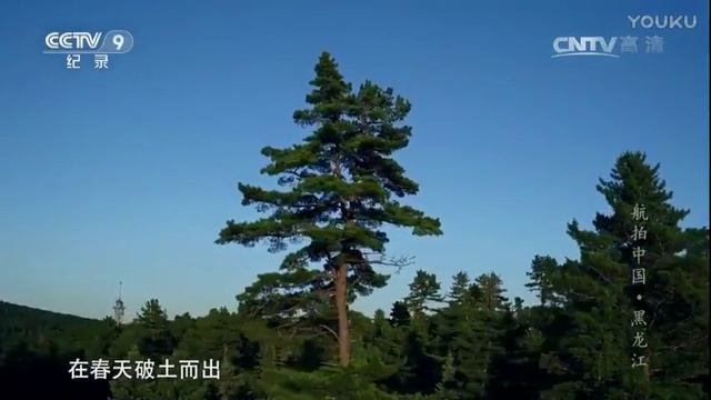 Aerial China of Heilongjiang Province смотреть онлайн