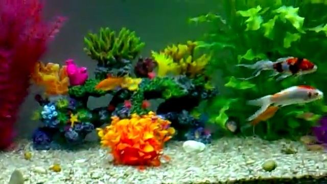 мой аквариум на 200 литров смотреть онлайн