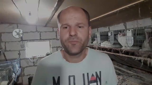 Вентиляция крольчатника