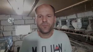 Вентиляция крольчатника