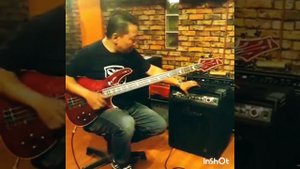 BUGERA BASS AMP BXD 15