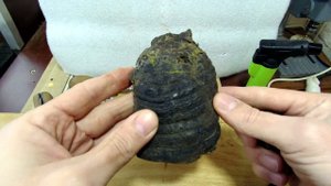 ПРИРОДНЫЕ МАТЕРИАЛЫ ДЛЯ ТВОРЧЕСТВА