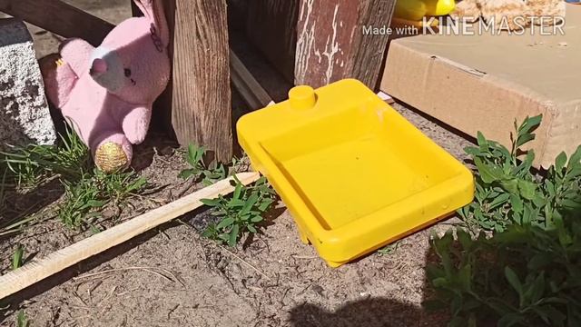 ДАЧНЫЙ СЕЗОН #1 смотреть онлайн