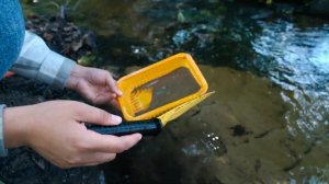 ФИЛЬТР ДЛЯ ОЧИСТКИ ВОДЫ СВОИМИ РУКАМИ | Познавательные видео для детей