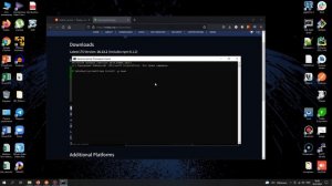 Установка Newman и запуск тестов из Postman в командной строке