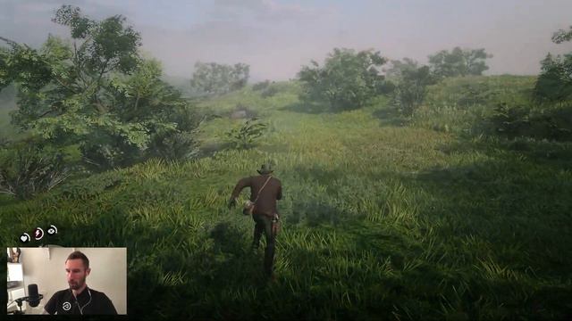 Red Dead Redemption 2. Снова ограбили поезд!!! (Прохождение Red Dead Redemption 2 #10) смотреть онлайн