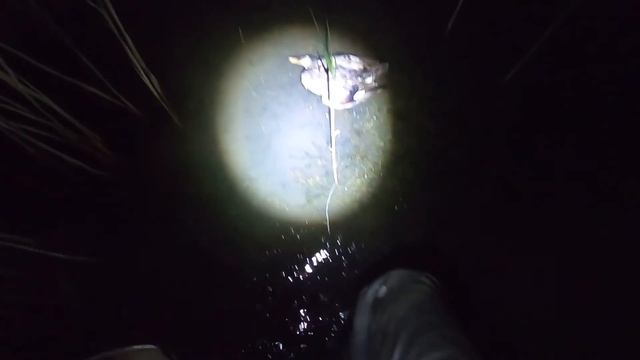 Нарезка отпускных утиных зорек смотреть онлайн