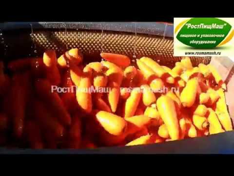 Машины очистки и мойки моркови GB-1000  от РостПищМаш