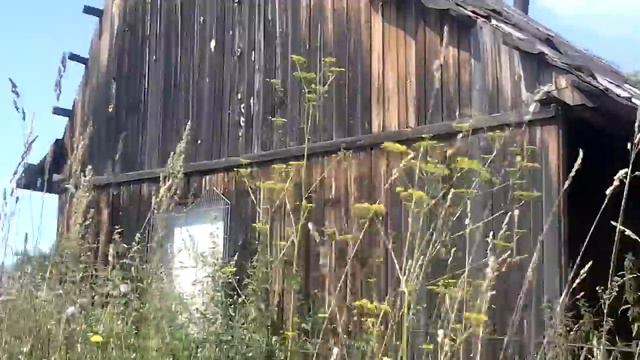 Короче говоря приехал на дачу смотреть онлайн