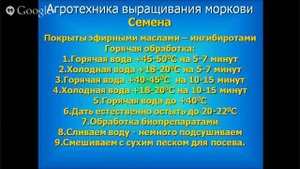 Выращивание моркови. Основные этапы выращивания моркови.