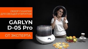 Подробный обзор сушилки для овощей и фруктов GARLYN D-05 Pro от технического эксперта