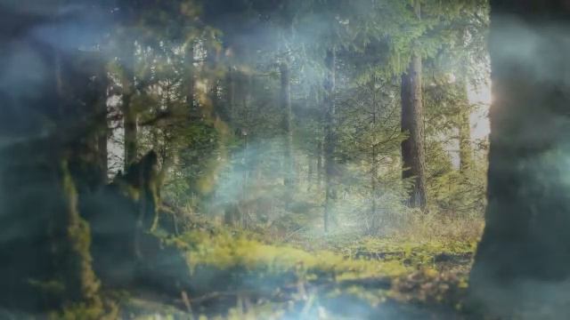 Calm Celtic Flute Music - Instrumental Celtic Music For Sleeping And Deep Relaxation смотреть онлайн