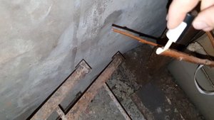 Как сохранить саженцы до весны