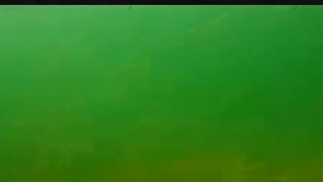 Увильды, август 2016 смотреть онлайн