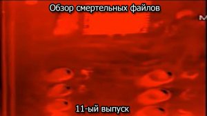 Обзор смертельных файлов. 11-ый выпуск