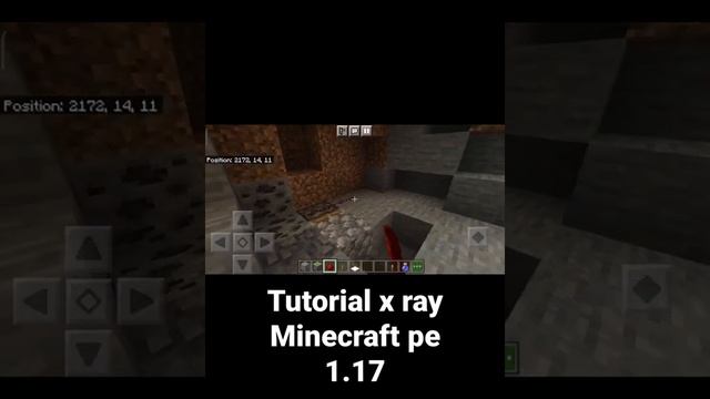 Tutorial x ray Minecraft pe 1.17  #shorts