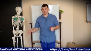 Самая важная мышца поясницы  Почему я украл упражнения у доктора Шишонина