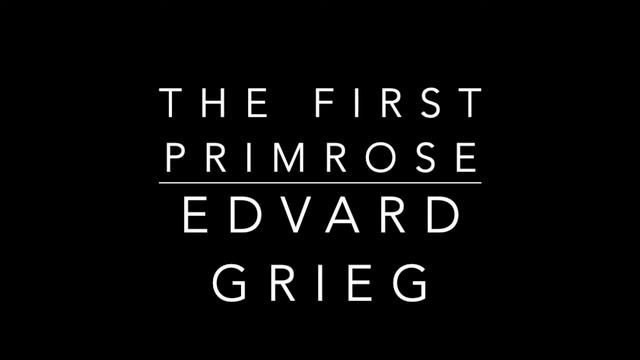Med en Primula veris (The First Primrose) - Edvard Grieg piano accompaniment in E major смотреть онлайн