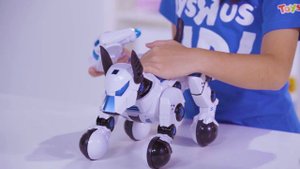 Rastar Intelligent Dogo