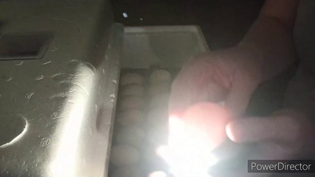 Почему скачет температура в инкубаторе "Несушка". смотреть онлайн