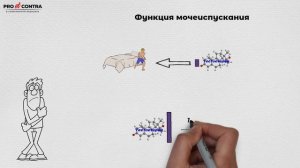 Тестостерон 4.  Когда ожидать эффект от терапии тестостероном?