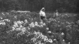 На окраинах Москвы. ЦСДФ, 1953г.