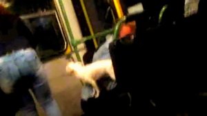 пьяная женщина забралась под кресло в автобусе