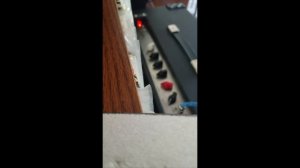 Alessandro Working Dog Boxer with 6V6 power tubes and Celestion Blue alnico speaker
