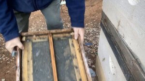 Семья трутовка осенью- это не проблема.