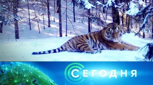 «Сегодня»: 9 декабря 2022 года. 13:00 | Выпуск новостей | Новости НТВ