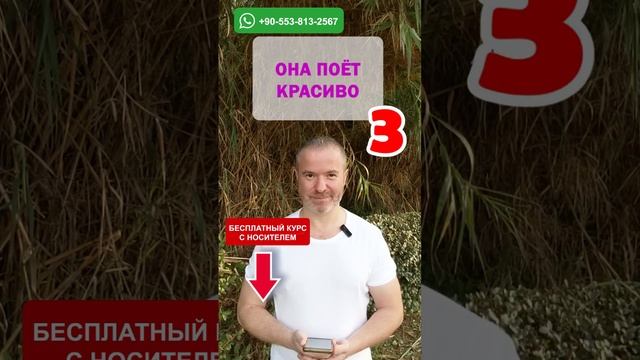 ??? Круговой тренажёр 92: Освойте английский язык за несколько уроков ?