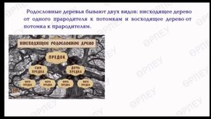 «Генеалогическое древо» видеоурок #дружбакисловодск