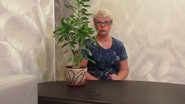Защита роз от болезней.21.07.2019 смотреть онлайн