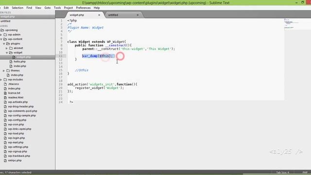 wordpress custom development - widget class, $this, custom register scripts, style function смотреть онлайн