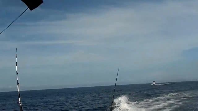 настоящая рыбалка рыба меч смотреть онлайн