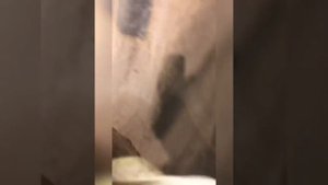 Ниссан кашкай , диагностика ходовой 140 тысяч пробега , слабые места ниссана