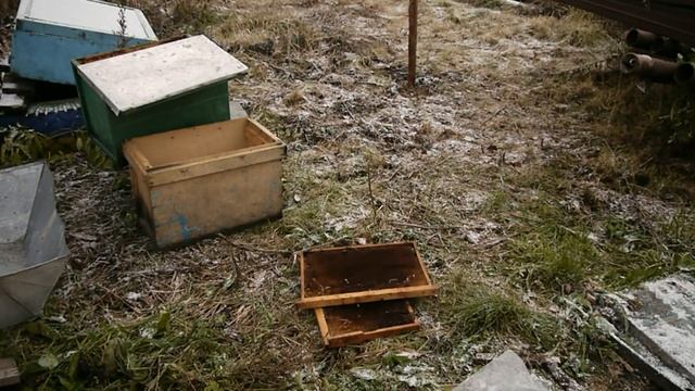 Как правильно хранить сушь без сотохранилища. Варианты хранения рамок на пасеке. Как хранить сушь