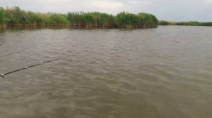 Рыбалка в Крыму на платнике! Щука