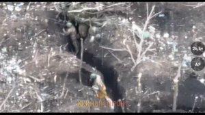 Оператор квадрокоптера ВС РФ точно сбрасывает гранату в опорник ВСУ (Артемовское направление)