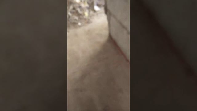 Начало ремонта типичной 3-х комнатной хрущевки смотреть онлайн